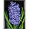 Orchidea Needlepoint Canvas For Halfstitch Without Yarn Hyacinth - Printed Tapestry Canvas